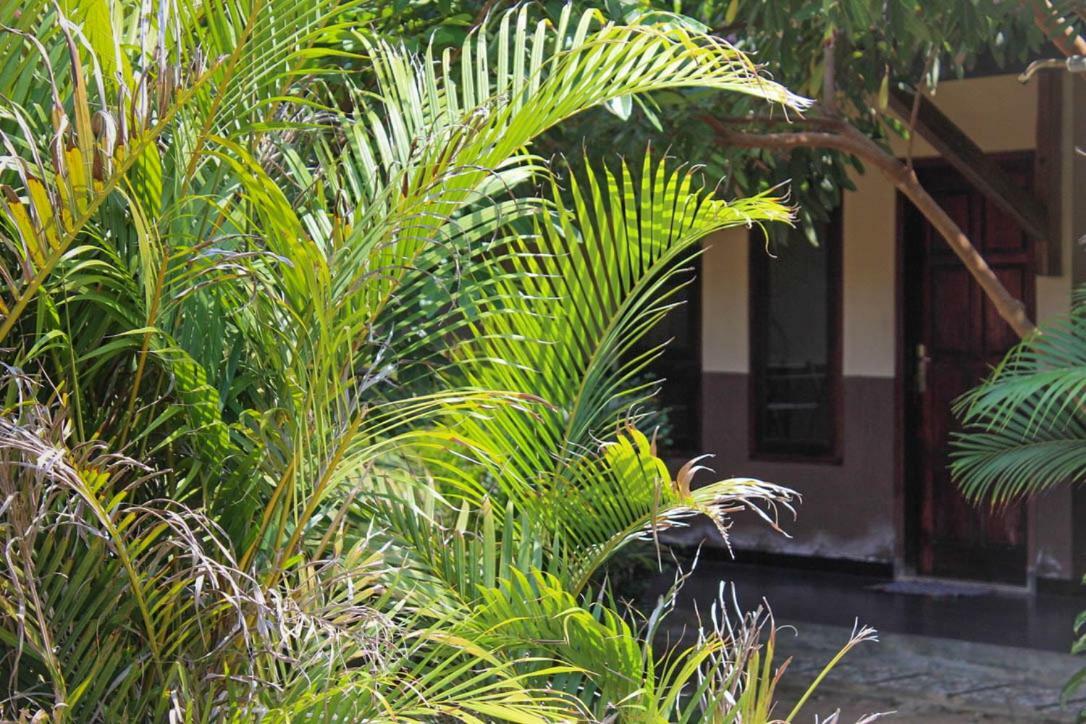 Harrys Oceanhouse 2 Pacitan Lägenhet Exteriör bild